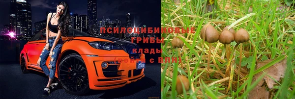 2c-b Алексеевка